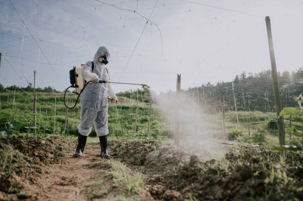 Best Best Pest Control Near Me  in Coarsegold, CA
