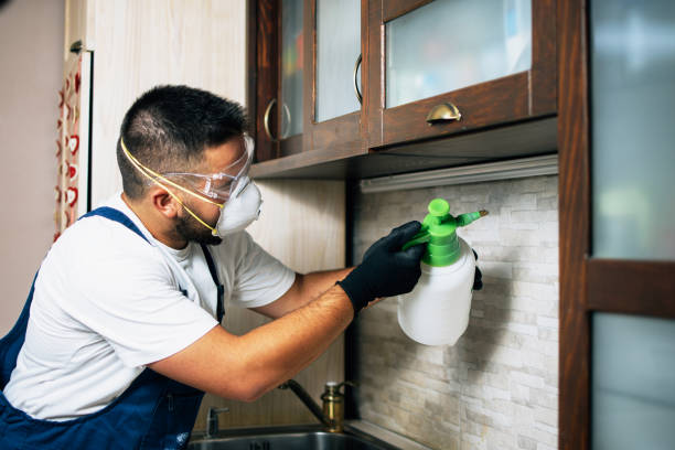  Coarsegold, CA Pest Control Pros