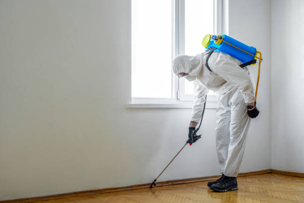 Best Termite Control Services  in Coarsegold, CA