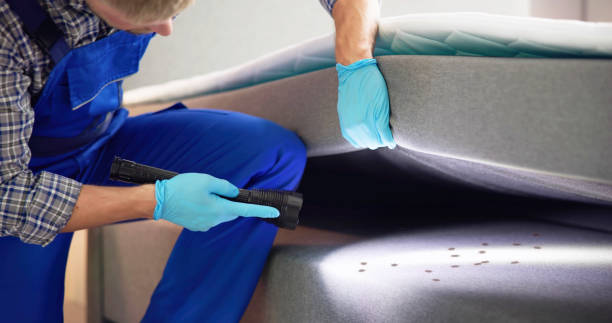 Reliable Coarsegold, CA Pest Control Solutions