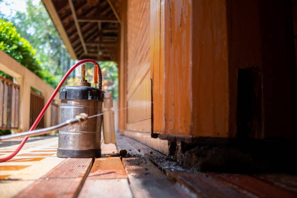 Best Emergency Pest Control  in Coarsegold, CA