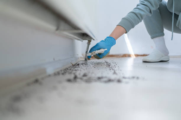 Best Wasp Removal Services  in Coarsegold, CA